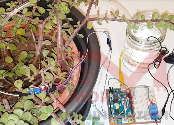 Arduino Automatic Watering System For Plants